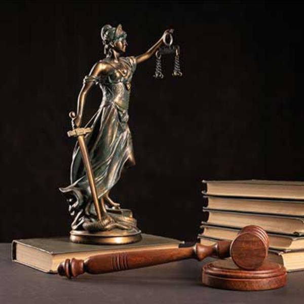 Colegio de Abogados de Lima - Derecho constitucional