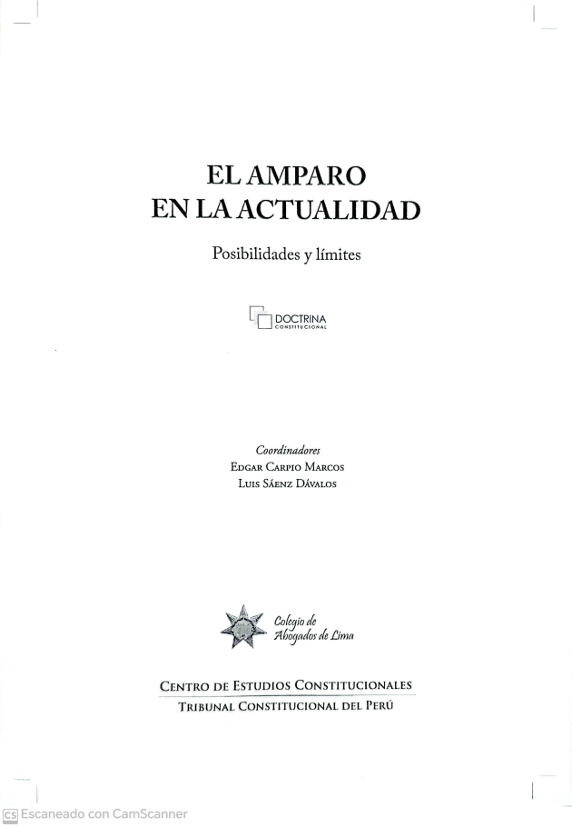 Colegio de Abogados de Lima - EL AMPARO EN LA ACTUALIDAD
